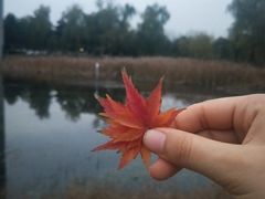 -安徽大学(磬苑校区)