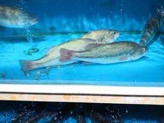 -世纪家家福生活广场(和义店)