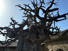 -康百万庄园