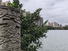 -成都南湖公园