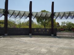 -陈行公园