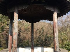 -白马涧龙池景区