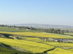 -扁都口生态休闲旅游区