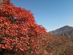 -水峪民俗村