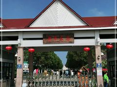 -上海都市菜园