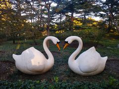 -中央广播电视塔