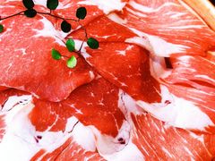 -九鼎轩脆毛肚火锅(三钢里店)