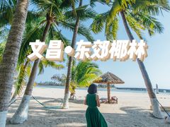 -东郊椰林