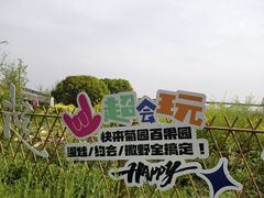 -菊园百果园