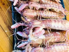 清蒸皮皮虾-张会海鲜饭店(东戴河店)