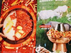 -老蜀铜火锅·酸菜脊骨·麻辣羊蝎子(热闹路店)