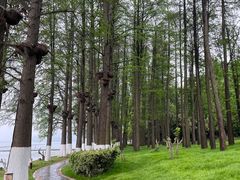 -东湖生态旅游风景区