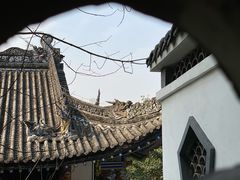 -李子坝梁山鸡(李子坝大鸡哥店)