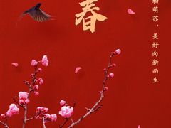 -自然之声助听器·呼吸机(康桥旗舰店)