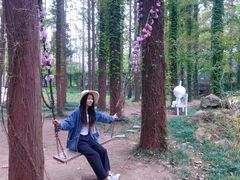 -日照世帆赛基地