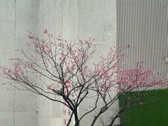 -永信齿科·永典口腔门诊部(浦东店)