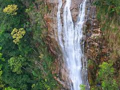 -九龙江国家森林公园