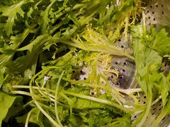 -老凯里苗岭酸汤鱼酸汤牛肉(百里杜鹃路店)