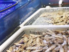 -日食记精菜馆(建邺万达店)