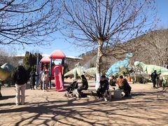 -大连森林动物园