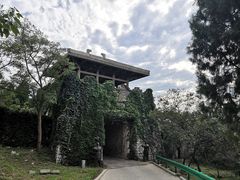 -原山国家森林公园