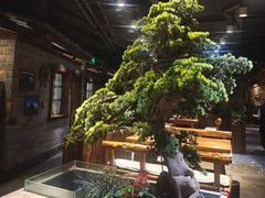 -丹江渔村(首都机场店)