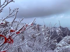 -崂山巨峰游览区