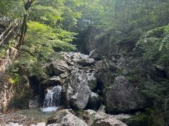 -牛背梁国家森林公园