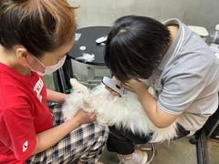 -PETKIT 小佩宠物·低压洗护·美容·寄养(安远店)