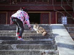 -大觉寺-停车场