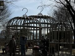 -洨河生态公园
