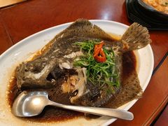 清蒸多宝鱼-东江渔村·古典园林·30年粤菜老字号(太和店)