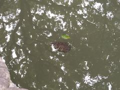 -普陀山风景名胜区-法雨禅寺
