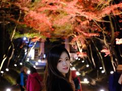 -醍醐寺