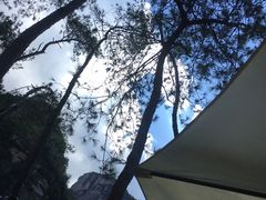 -憶廟街 X 沙角邨(太古城店)