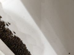 -岁宝Shirble plaza(景田店)