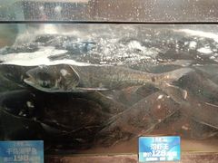 -上名堂·鱼头好吃(体育场路店)