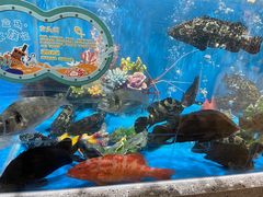-盒马鲜生(富田新天地店)