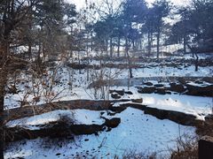 -北京西山国家森林公园