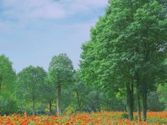 -钟山体育运动公园