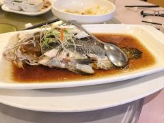 清蒸瓜子斑-顺风海鲜港(金玉兰店)