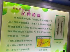 -上海昆虫博物馆