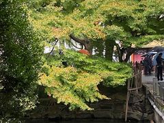 -西湖外事游船(花港观鱼码头)