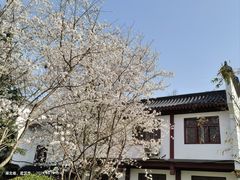 -堤角公园