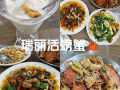 -金螃蟹