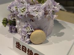 -5Cake五度无蔗糖低脂蛋糕(陶然亭店)
