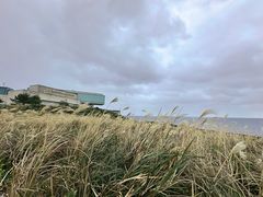 -涉地可支