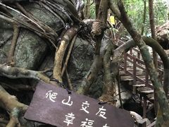 -七仙岭温泉国家森林公园
