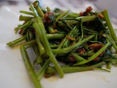 -文东记(马里士他路)