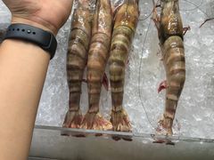 -纽顿熟食中心
